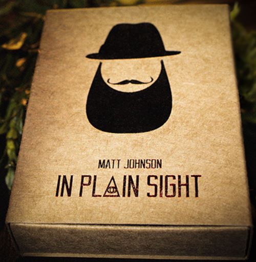 IN PLAIN SIGHT