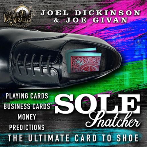 SOLE SNATCHER